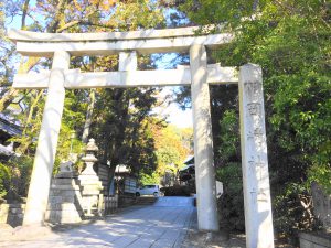 平安神宮とセットで♪うさぎがいっぱいの岡崎神社に行ってみよう！